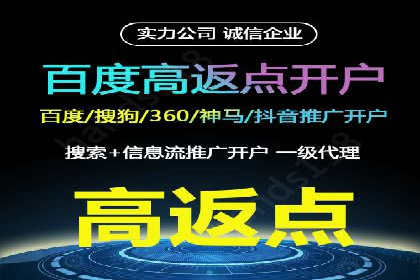 行业领先SEM服务公司案例研究